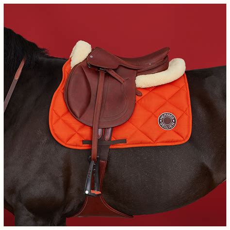 hermes horse equipment|hermes dressage.